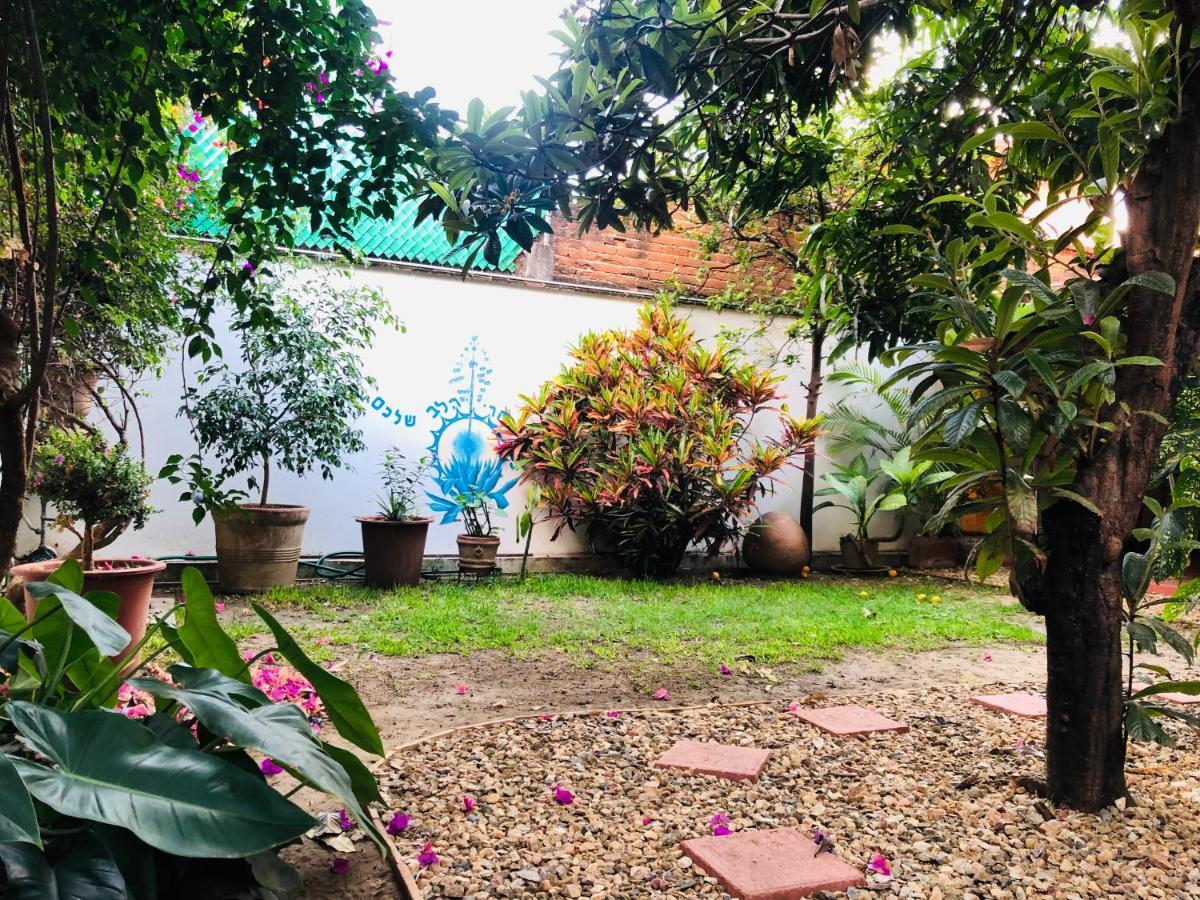 Los Nardos Hostel -Pet Friendly- Oaxaca Exteriör bild